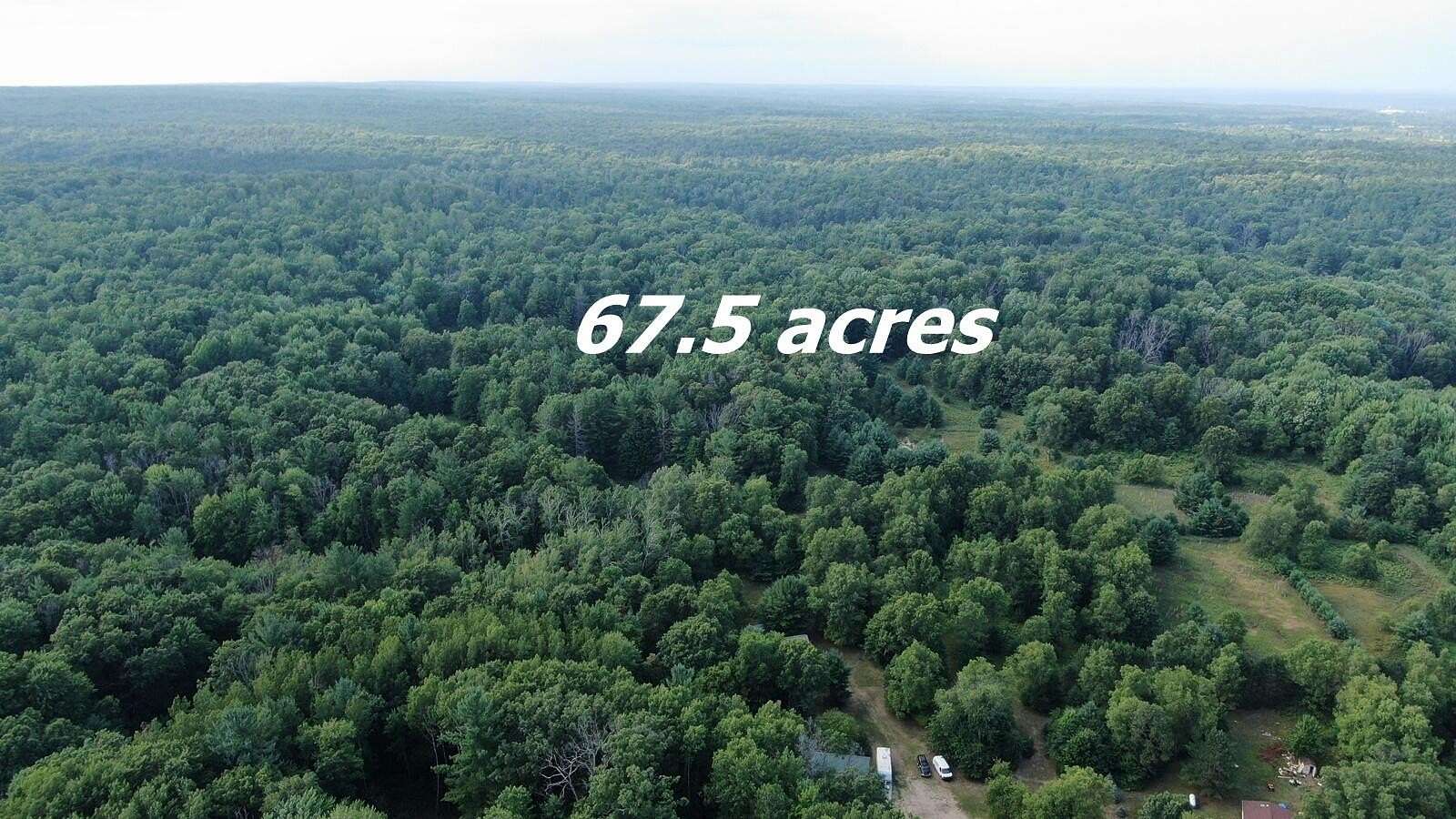 68.8 Acres of Recreational Land for Sale in Big Rapids, Michigan