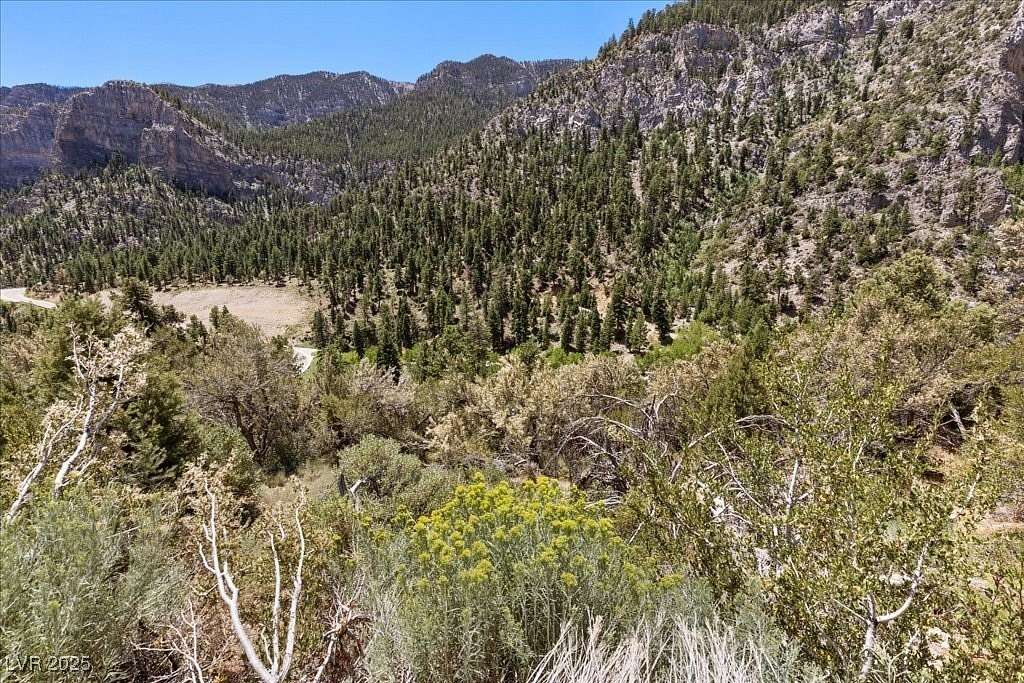 0.28 Acres of Residential Land for Sale in Mount Charleston, Nevada