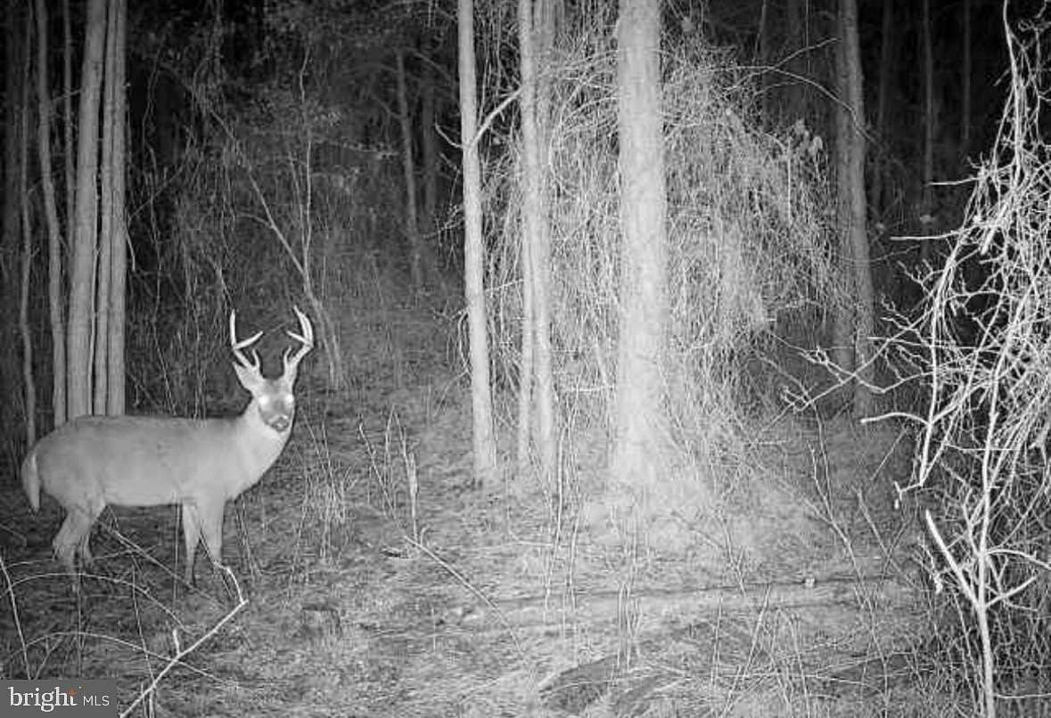 3.58 Acres of Agricultural Land for Sale in Crisfield, Maryland