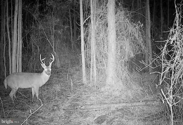 3.58 Acres of Agricultural Land for Sale in Crisfield, Maryland