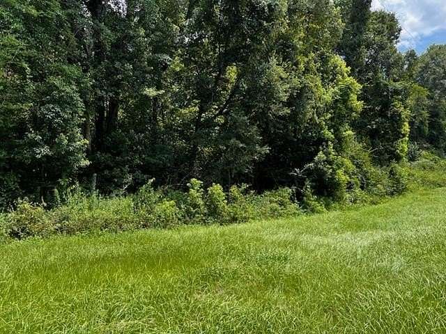 17.6 Acres of Land for Sale in Quincy, Florida