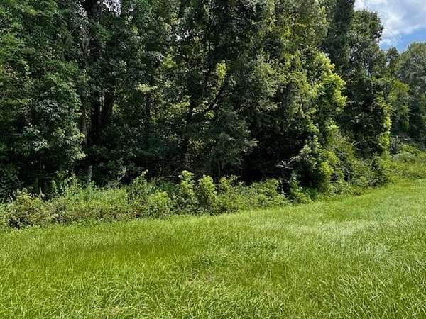 17.6 Acres of Land for Sale in Quincy, Florida