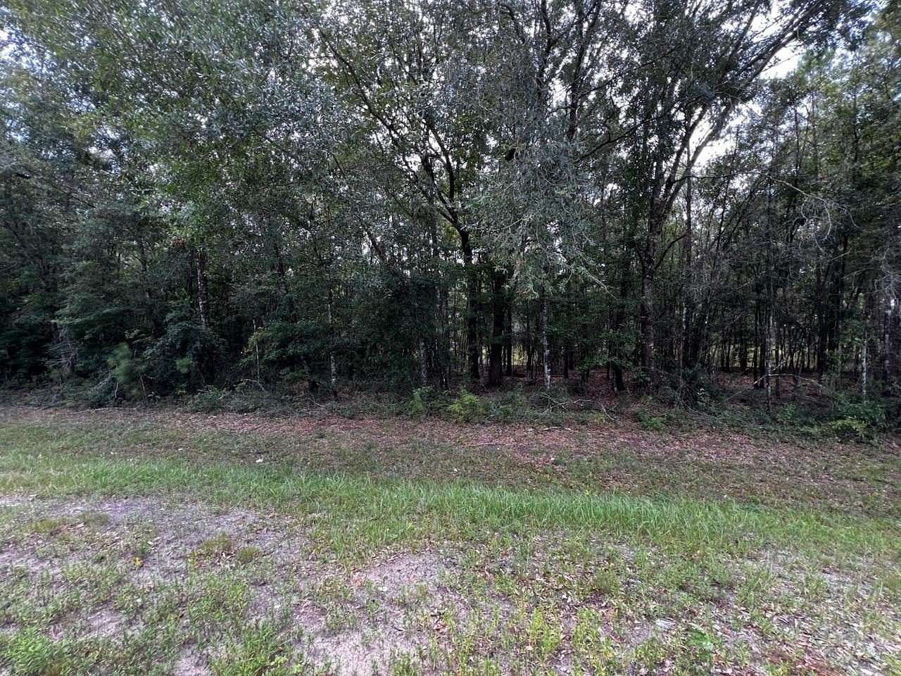 24 Acres of Land for Sale in Quincy, Florida