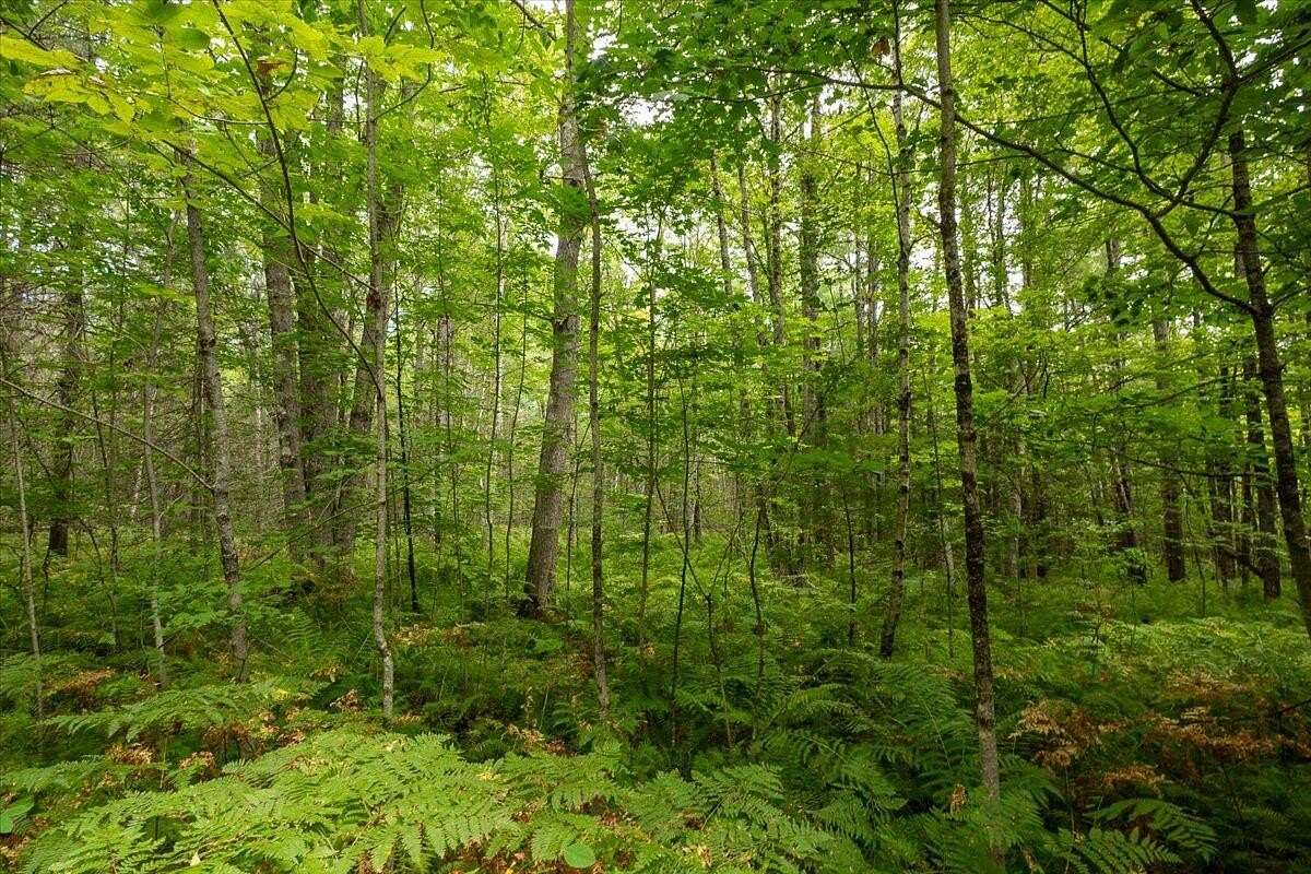 5 Acres of Residential Land for Sale in Washington, Maine