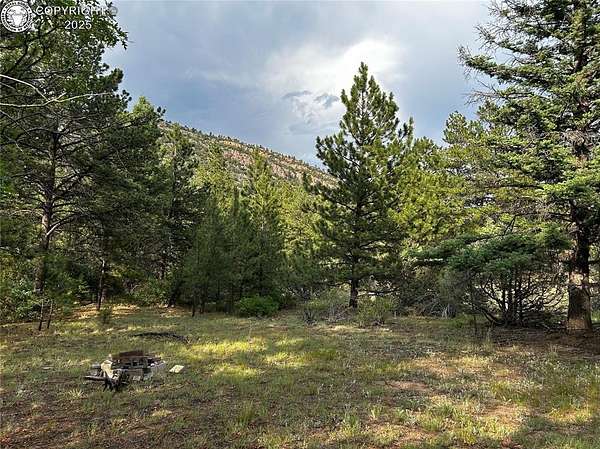 13.8 Acres of Recreational Land for Sale in Cotopaxi, Colorado
