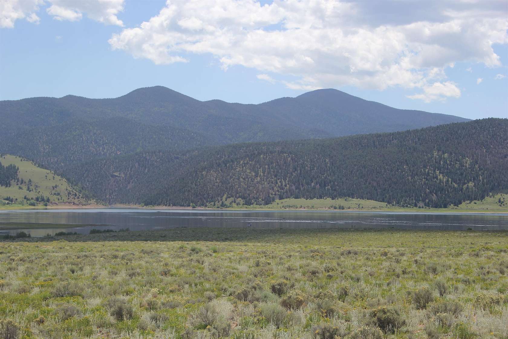 87 Acres of Land for Sale in Eagle Nest, New Mexico