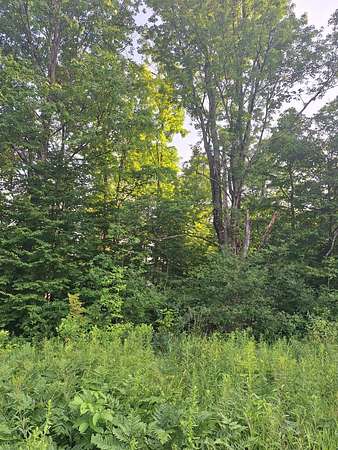 5 Acres of Land for Sale in Le Roy, Michigan