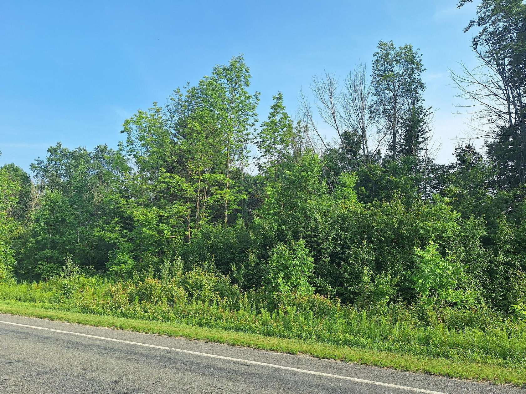 5 Acres of Land for Sale in Le Roy, Michigan