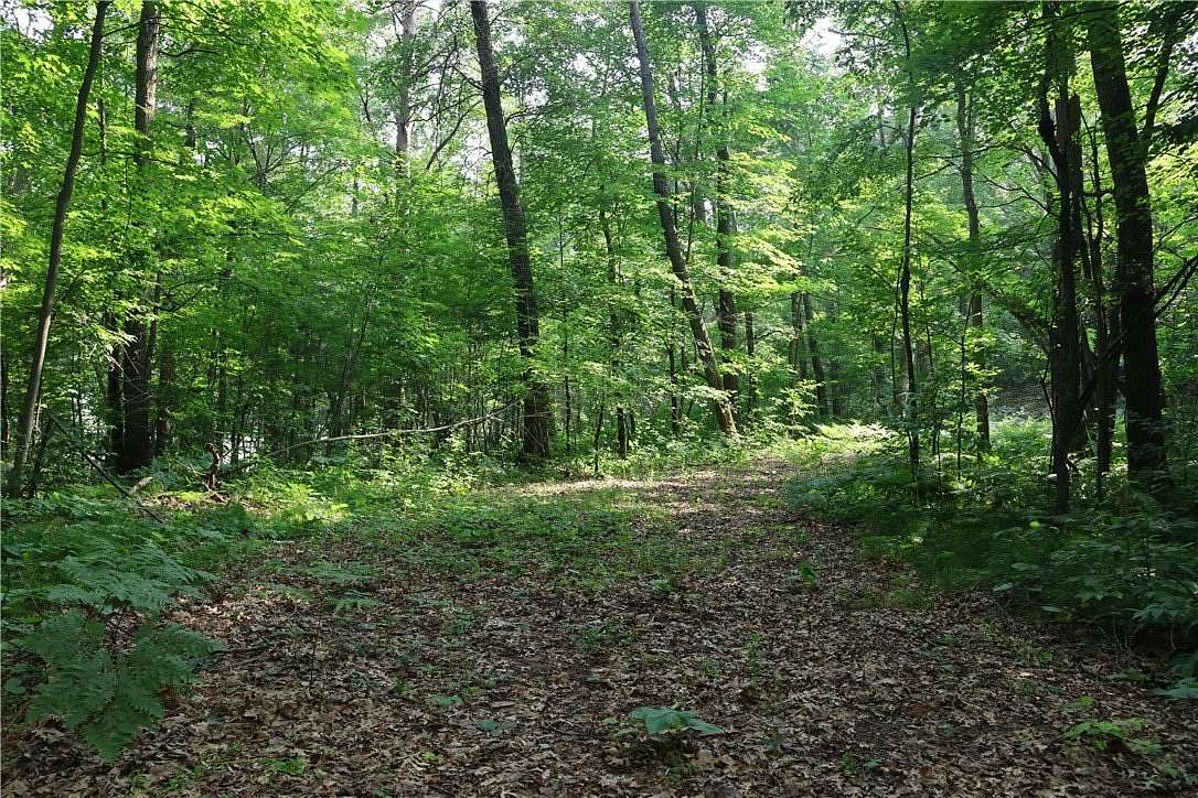 5.1 Acres of Land for Sale in Frederic, Wisconsin