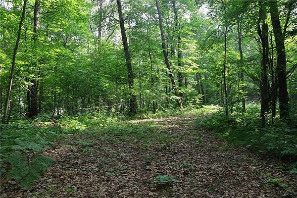 5.1 Acres of Land for Sale in Frederic, Wisconsin