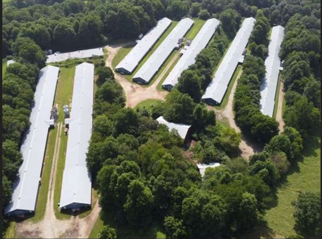 20 Acres of Improved Agricultural Land for Sale in Dahlonega, Georgia