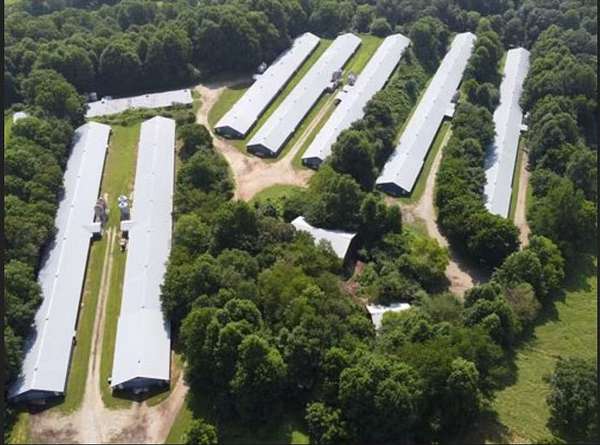 20 Acres of Improved Agricultural Land for Sale in Dahlonega, Georgia