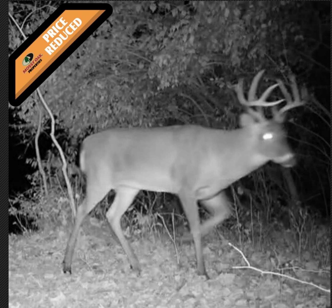 26.4 Acres of Land for Sale in Manitou Beach, Michigan