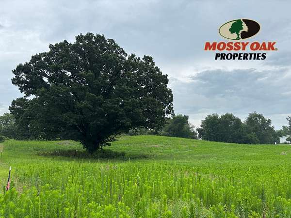 26.4 Acres of Land for Sale in Manitou Beach, Michigan