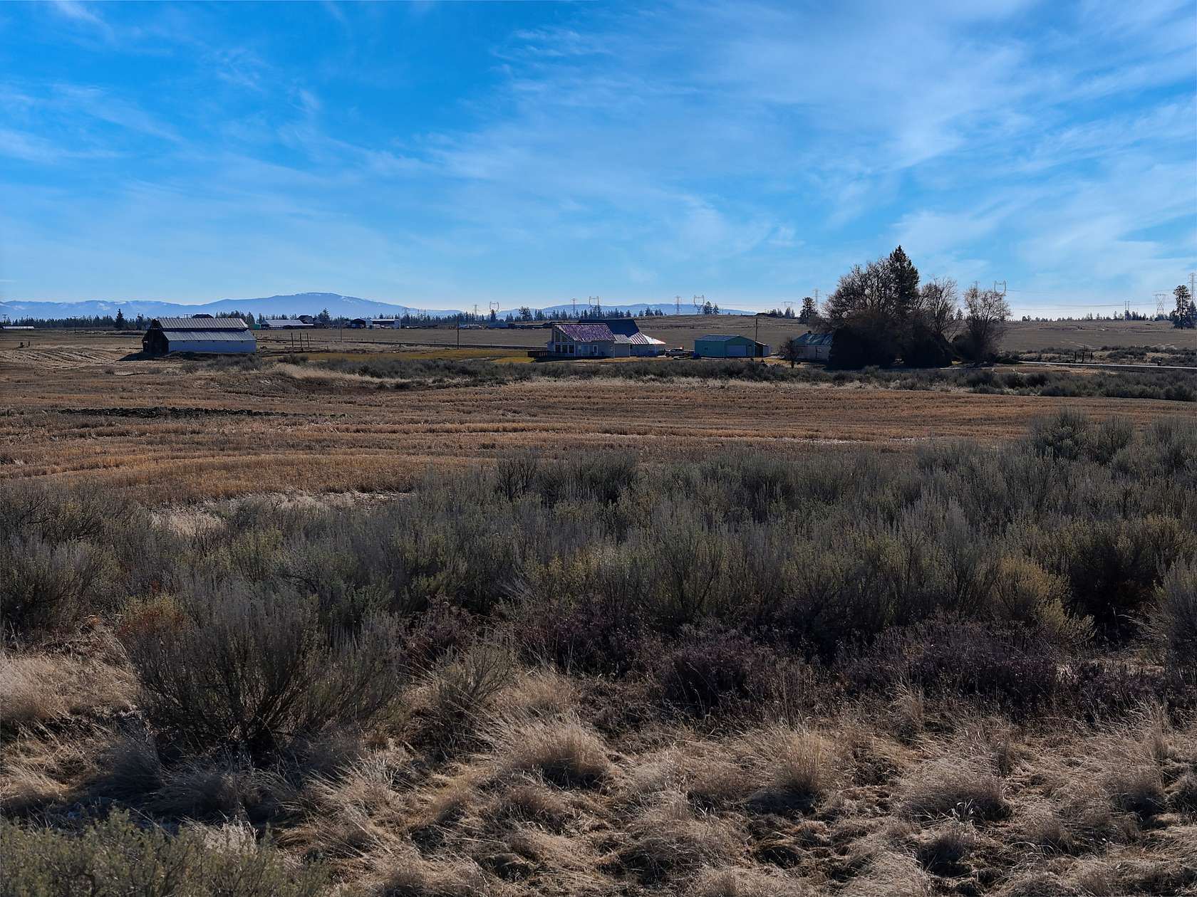 38 Acres of Land for Sale in Reardan, Washington