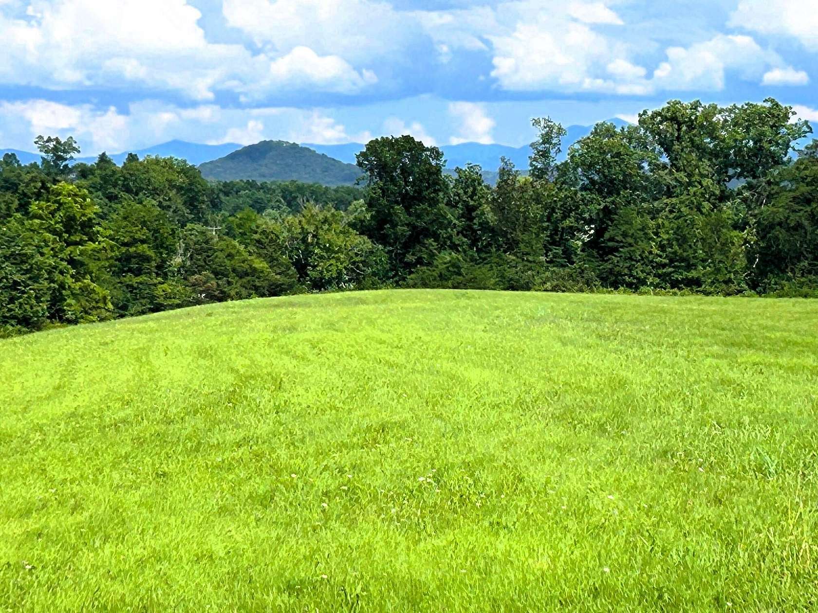 39 Acres of Recreational Land & Farm for Sale in Tellico Plains, Tennessee