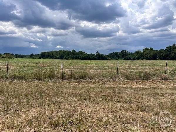 69.2 Acres of Improved Land for Sale in Stephens, Georgia