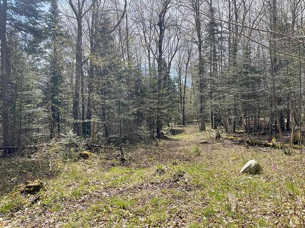 3.3 Acres of Residential Land for Sale in Westmore, Vermont