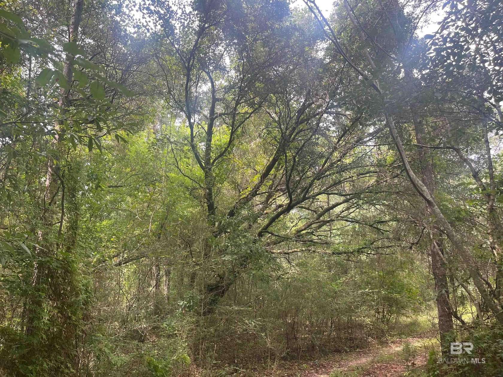5 Acres of Residential Land for Sale in Bay Minette, Alabama