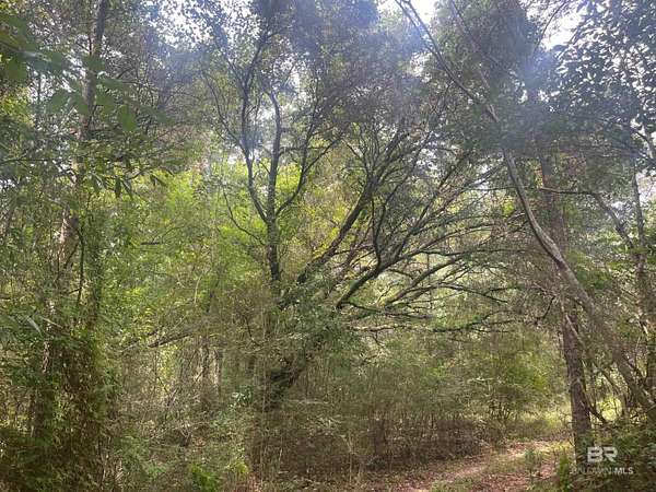 5 Acres of Residential Land for Sale in Bay Minette, Alabama