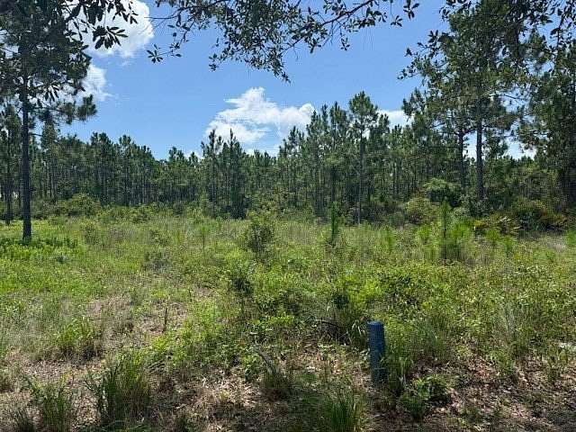 0.25 Acres of Residential Land for Sale in Port St. Joe, Florida
