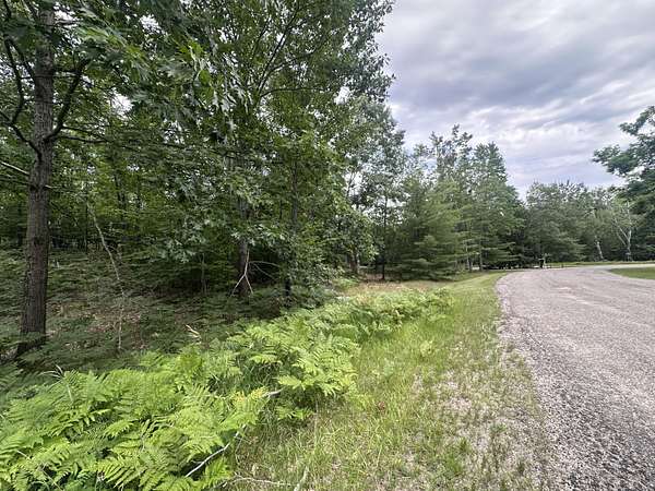 Land for Sale in Gaylord, Michigan