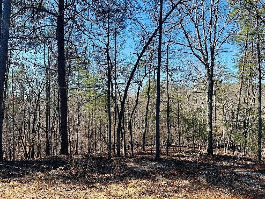 1.32 Acres of Residential Land for Sale in Dahlonega, Georgia