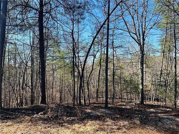 1.32 Acres of Residential Land for Sale in Dahlonega, Georgia