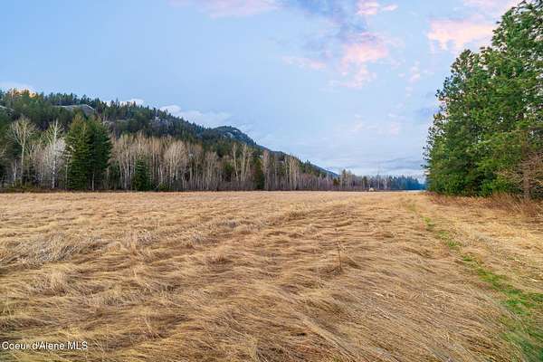 9.69 Acres of Residential Land for Sale in Sandpoint, Idaho