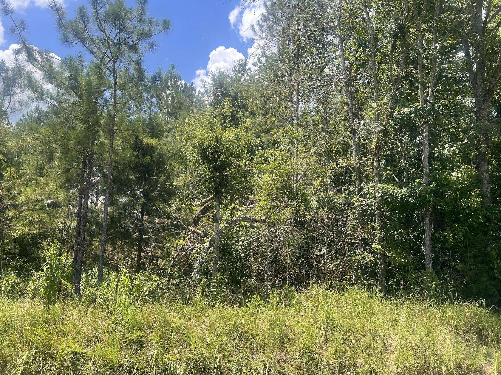 17.8 Acres of Land for Sale in Edgefield, South Carolina
