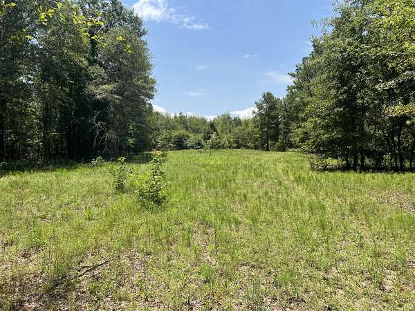 Land for Sale in Louisville, Georgia