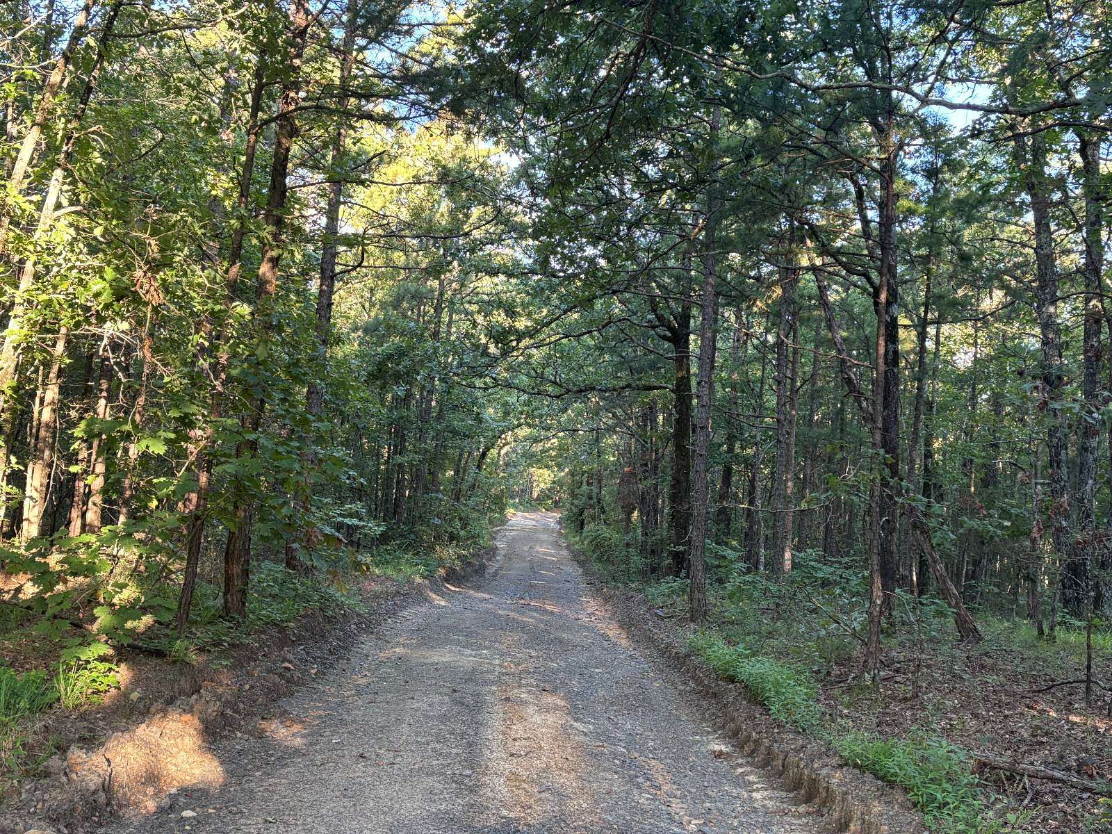 80 Acres of Recreational Land for Sale in Honobia, Oklahoma