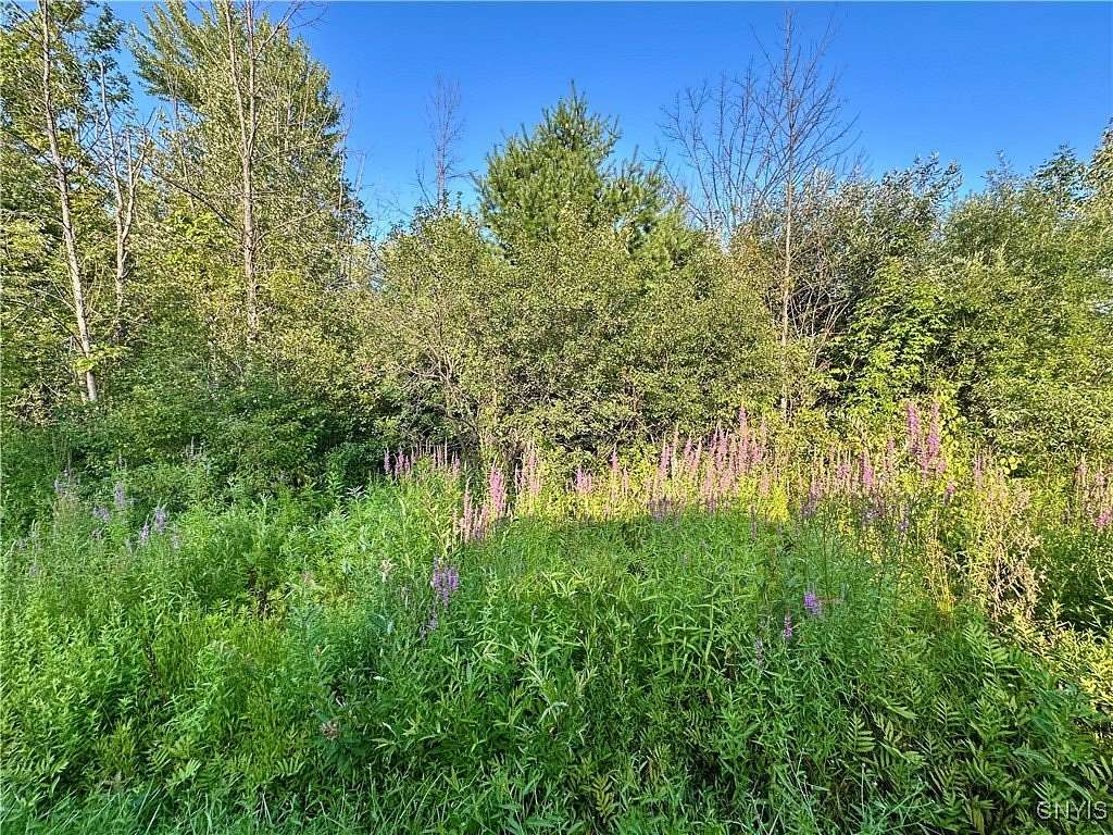 8.7 Acres of Residential Land for Sale in Rome, New York