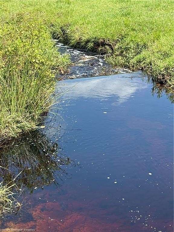 18 Acres of Recreational Land & Farm for Sale in Venus, Florida