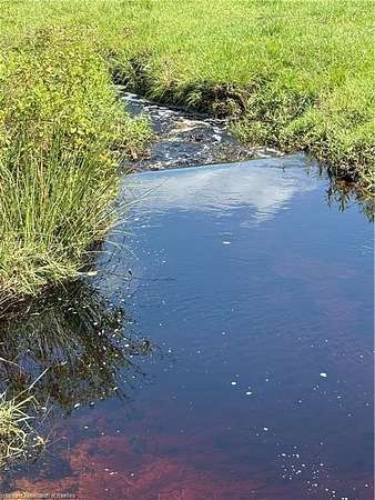 18 Acres of Recreational Land & Farm for Sale in Venus, Florida