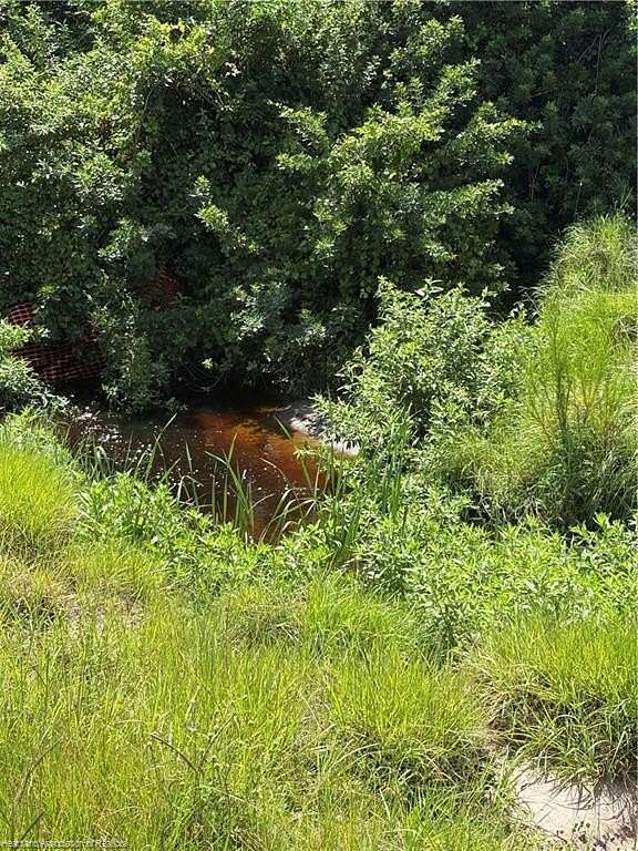 18 Acres of Recreational Land & Farm for Sale in Venus, Florida