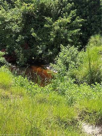 18 Acres of Recreational Land & Farm for Sale in Venus, Florida