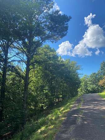 1 Acre of Land for Sale in Blairsville, Georgia