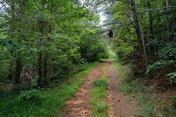 13.6 Acres of Recreational Land for Sale in Ellijay, Georgia