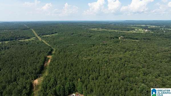 112 Acres of Recreational Land & Farm for Sale in Fayette, Alabama