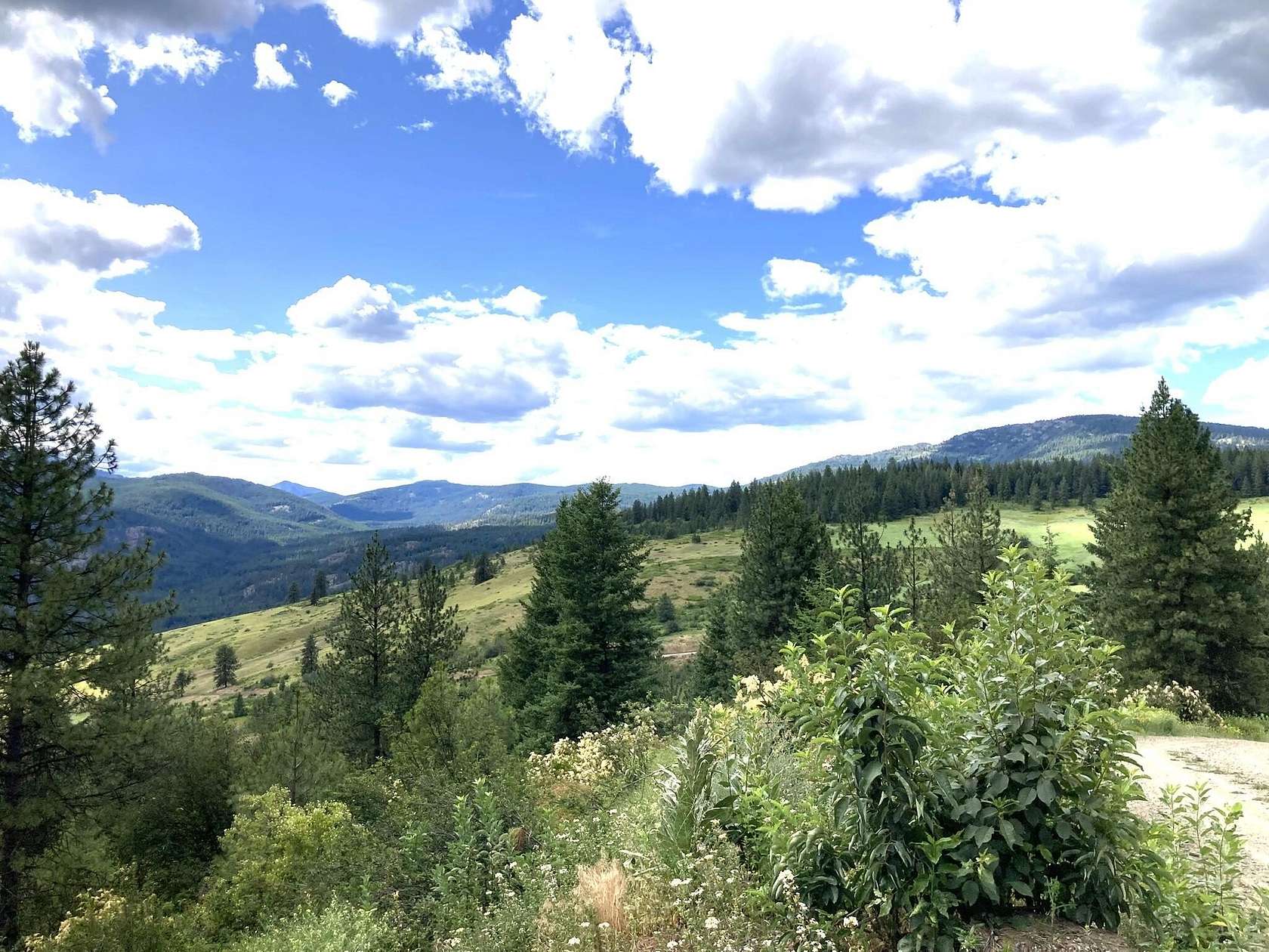20 Acres of Recreational & Residential Land for Sale in Inchelium, Washington