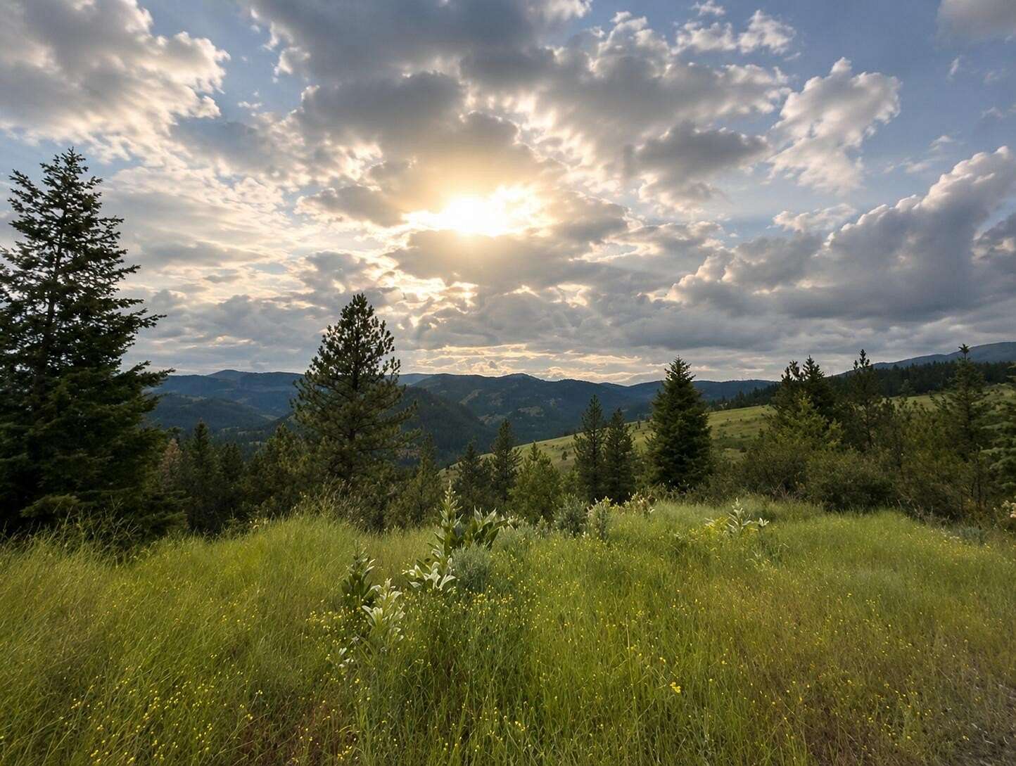 20 Acres of Recreational & Residential Land for Sale in Inchelium, Washington