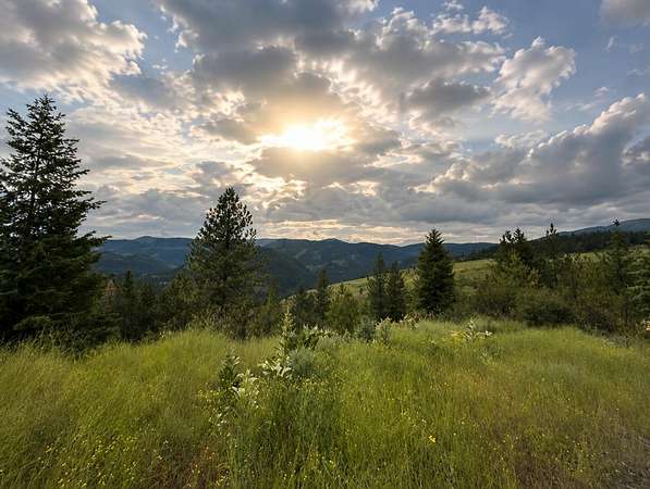 20 Acres of Recreational & Residential Land for Sale in Inchelium, Washington