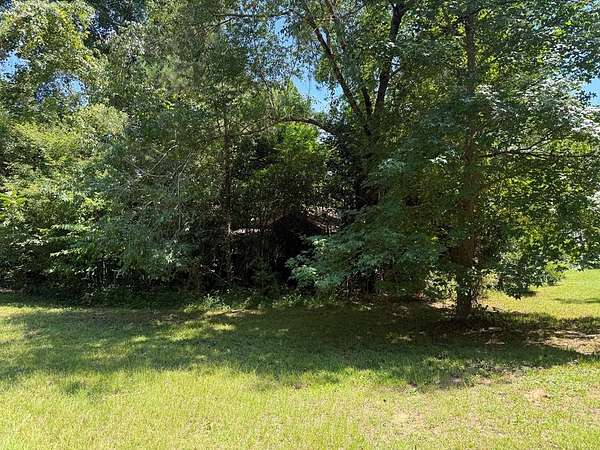 0.5 Acres of Residential Land for Sale in Burkeville, Texas