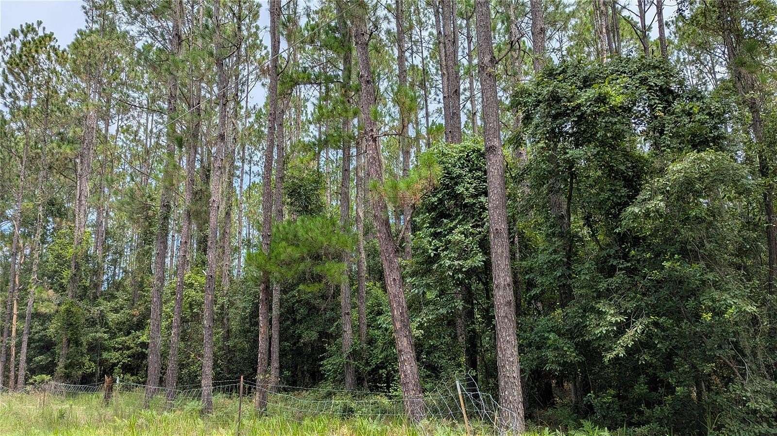 10.1 Acres of Land for Sale in Gainesville, Florida