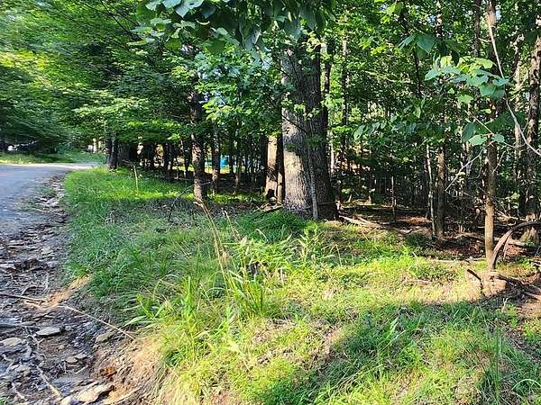 0.4 Acres of Residential Land for Sale in Fancy Gap, Virginia