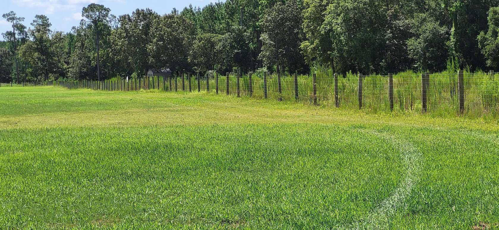 5.2 Acres of Residential Land for Sale in Wagener, South Carolina