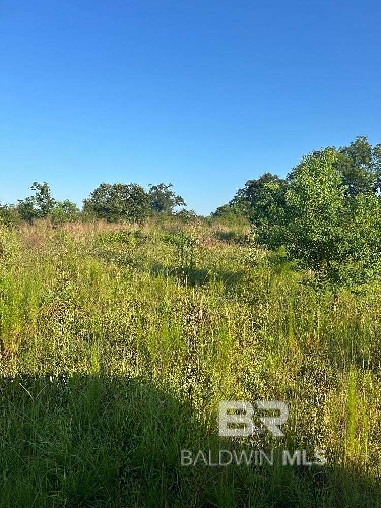Land for Sale in Brewton, Alabama