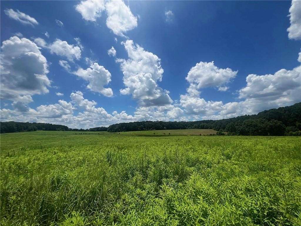 19.5 Acres of Land for Sale in Calhoun, Georgia