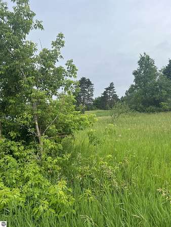 10.2 Acres of Recreational Land for Sale in Thompsonville, Michigan